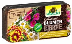 4005240002704-Kokohum-BlumenErde-2050-rgb-produktbild.jpg 4005240002704-Kokohum-BlumenErde-2050-rgb-produktbild.jpg
