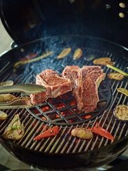 Mood-Performer-Fleisch.jpg Mood-Performer-Fleisch.jpg