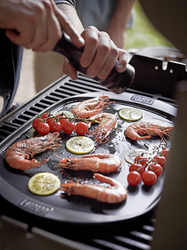 Weber-Bay-Wald-Genesis-E330-0271-EMEA-style.png Weber-Bay-Wald-Genesis-E330-0271-EMEA-style.png