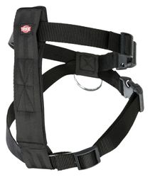 252295-PHO-PRO-CLIP-1288-1290-1291-1292-1.jpg 252295-PHO-PRO-CLIP-1288-1290-1291-1292-1.jpg