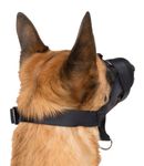 278708-PHO-PRO-DOG-CLIP-19281-19282-19283-3--1-.jpg