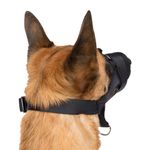 originals-PHO-PRO-DOG-CLIP-PHO-PRO-DOG-CLIP-19281-19282-19283-3--SALL--AWK--V1.jpg