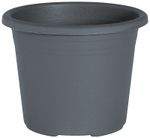 64101238-S.jpg