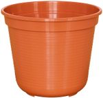 80602606-S.jpg