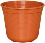 80602806-S.jpg
