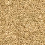 csm-sera-Bettagran-Nature-Detail-d31fe483e1.jpg