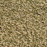 csm-sera-Vipagran-Nature-Detail-6241e00e40--1-.jpg