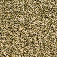 csm-sera-Vipagran-Nature-Detail-6241e00e40--1-.jpg csm-sera-Vipagran-Nature-Detail-6241e00e40--1-.jpg