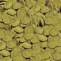 csm-sera-Wels-Chips-Nature-Detail-68c78fbccb.jpg csm-sera-Wels-Chips-Nature-Detail-68c78fbccb.jpg