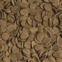 csm-sera-Vipachips-Nature-Detail-d2cbe3cc41.jpg csm-sera-Vipachips-Nature-Detail-d2cbe3cc41.jpg