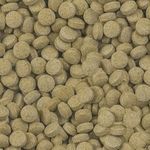 csm-sera-Viformo-Nature-Detail-6b0460fac0--1-.jpg