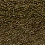 csm-sera-Shrimps-Nature-Detail-603f699dce.jpg