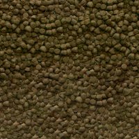 csm-sera-Shrimps-Nature-Detail-603f699dce.jpg csm-sera-Shrimps-Nature-Detail-603f699dce.jpg