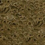 csm-sera-Crabs-Nature-Detail-5acac8f6aa.jpg