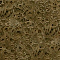 csm-sera-Crabs-Nature-Detail-5acac8f6aa.jpg csm-sera-Crabs-Nature-Detail-5acac8f6aa.jpg
