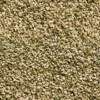 csm-sera-Vipagran-Baby-Nature-Detail-0ddadd668c.jpg csm-sera-Vipagran-Baby-Nature-Detail-0ddadd668c.jpg