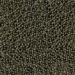 csm-sera-Goldy-Color-Spirulina-Nature-Detail-55ae733ecc.jpg