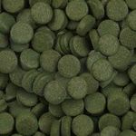 csm-sera-Spirulina-Tabs-Nature-Detail-0a3c9cff1e.jpg