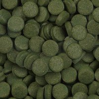 csm-sera-Spirulina-Tabs-Nature-Detail-0a3c9cff1e.jpg csm-sera-Spirulina-Tabs-Nature-Detail-0a3c9cff1e.jpg