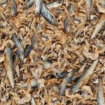 csm-sera-Raffy-Royal-Nature-Detail-2e4e76745e.jpg