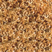 csm-sera-Raffy-I-Nature-Detail-66032195f4--1-.jpg csm-sera-Raffy-I-Nature-Detail-66032195f4--1-.jpg