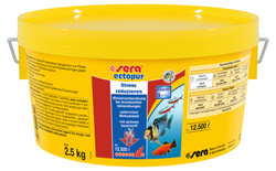 csm-8512-02330--de--sera-ectopur-2500-g-82d29dd196.png csm-8512-02330--de--sera-ectopur-2500-g-82d29dd196.png