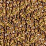 csm-sera-Koi-Silkworm-Nature-Detail-5b4f08c5de.jpg