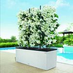 35299-15011-15031-2-Trio-Cottage.jpg