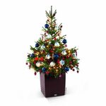 35343-15385-15395-2-Cube-Xmas.jpg