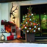 35343-15385-15395-Cube-Xmas.jpg