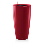 rondo-srot-large.png