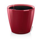 4008789160874-CLASSICO-Premium-LS-43-scarlet-rot-hochglanz-3.jpg