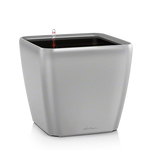 quadro-ls-silb-large.png
