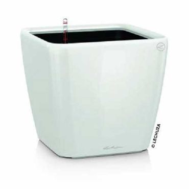 LECHUZA QUADRO Premium LS 35 Komplettset weiß hochglanz