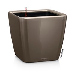 4008789161857-QUADRO-Premium-LS-43-taupe-hochglanz-2.jpg 4008789161857-QUADRO-Premium-LS-43-taupe-hochglanz-2.jpg