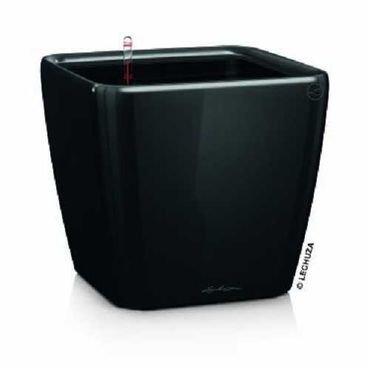 LECHUZA QUADRO Premium LS 35 Komplettset schwarz hochglanz