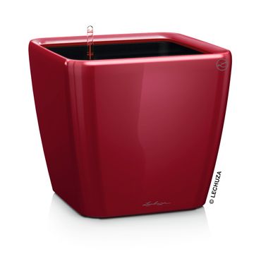 LECHUZA QUADRO Premium LS 43 Komplettset scarlet rot hochglanz