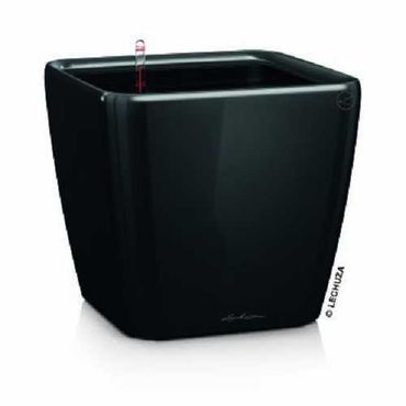 LECHUZA QUADRO Premium LS 43 Komplettset schwarz hochglanz