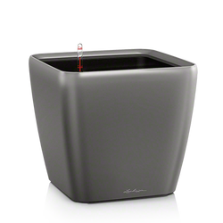 quadro-ls-anth-large.png quadro-ls-anth-large.png
