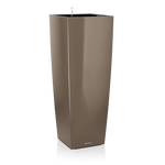taupe-alto.png