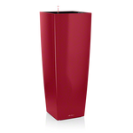 rot-alto.png