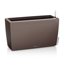 R-T-esp-komplett.jpg R-T-esp-komplett.jpg