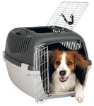200107-PHO-PRO-DOG-CLIP-39861-1.jpg