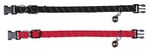 135148-25498.jpg