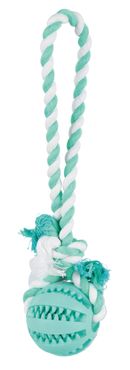 Trixie Denta Fun Spieltau mit Ball