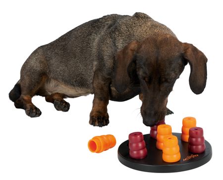 Trixie Mini Solitär Strategiespiel