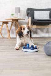 239042-PHO-PRO-DOG-32018-3.jpg 239042-PHO-PRO-DOG-32018-3.jpg