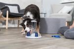 239057-PHO-PRO-DOG-32016-4.jpg