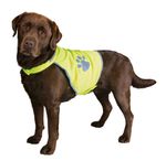 233639-PHO-PRO-DOG-CLIP-30080-30081-30082-30083-30084-1.jpg