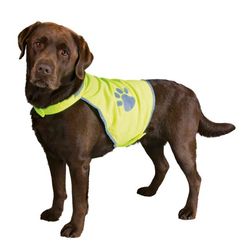 originals-PHO-PRO-DOG-CLIP-PHO-PRO-DOG-CLIP-30080-30081-30082-30083-30084-1--SALL--AWK--V1.jpg originals-PHO-PRO-DOG-CLIP-PHO-PRO-DOG-CLIP-30080-30081-30082-30083-30084-1--SALL--AWK--V1.jpg